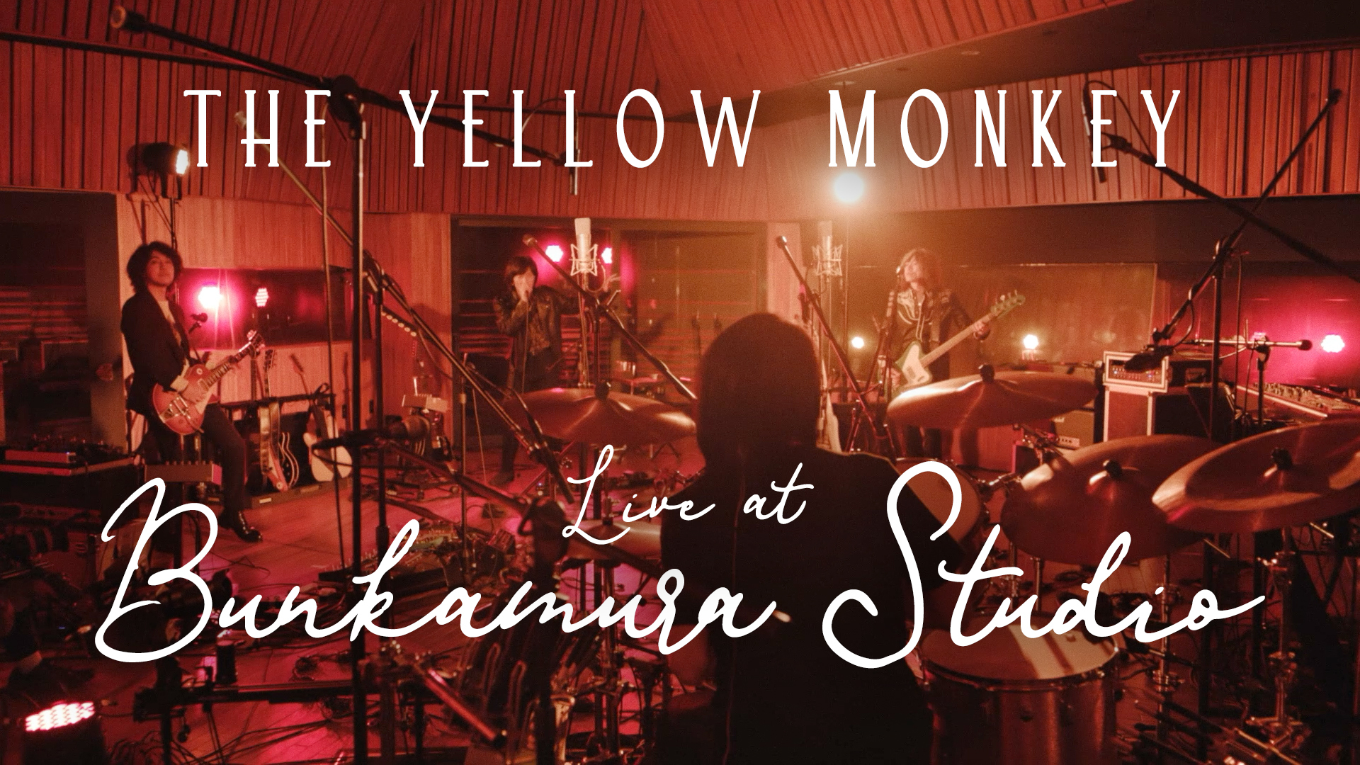 THE YELLOW MONKEY イエモン 吉井和哉 アルバム•書籍セットja THE